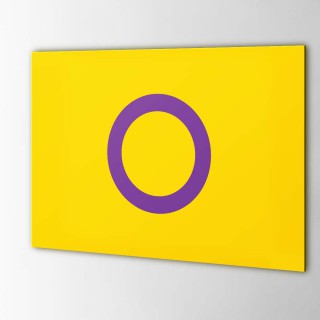 Intersex Vlaggensticker - 1