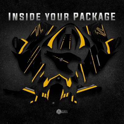 Motor stickers | Kawasaki Z900 2020-2023| Anita - 4