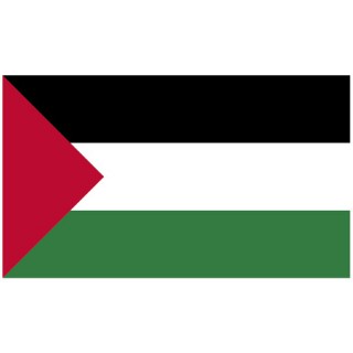 Bandera Palestina - 1