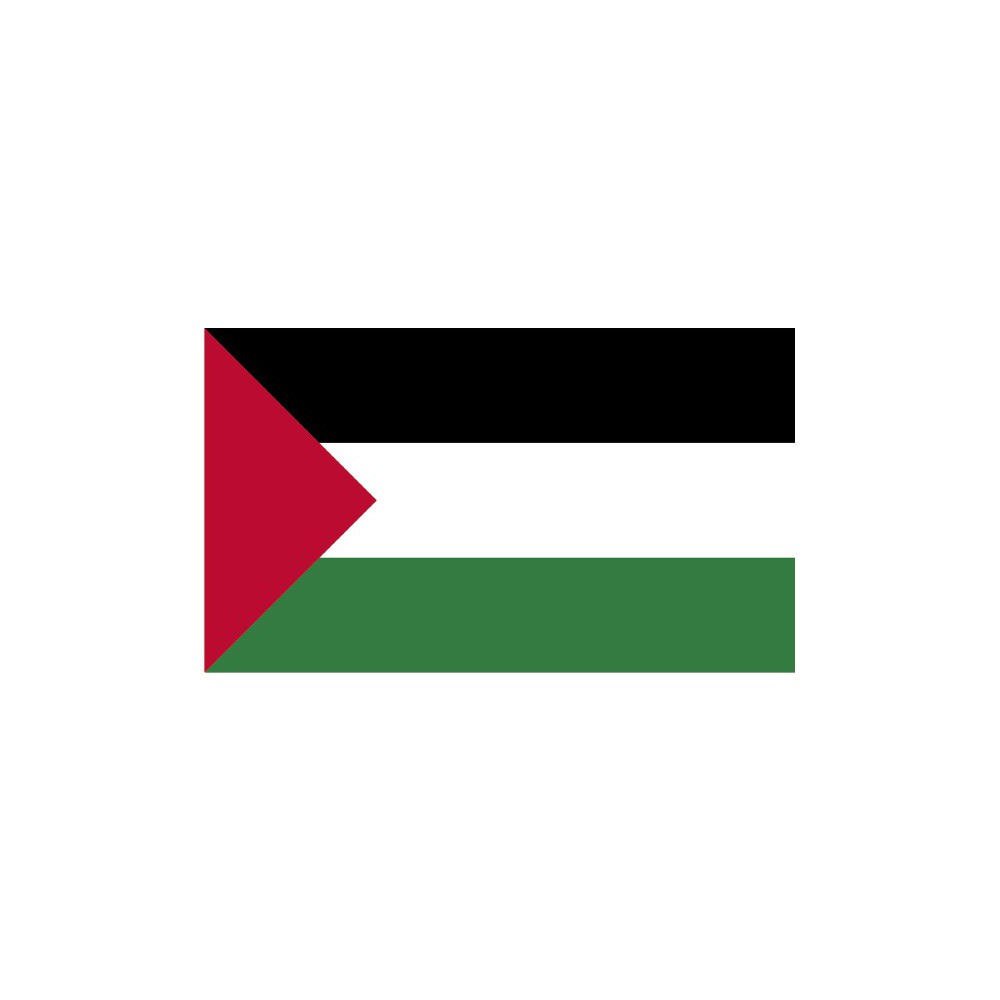 Vlag Palestina - 1