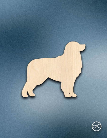 Houten Berner Sennenhond figuur – 8mm linoply, lasergesneden, zwarte zijkanten, decoratie