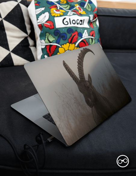 Bok Laptop Sticker - 1