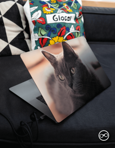 Britse-Korthaar Laptop Sticker - 1