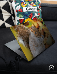 Eekhoorn Laptop Sticker - 1