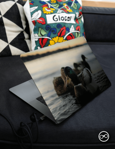 Eendjes Laptop Sticker - 1