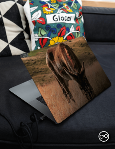 Ezel Laptop Sticker - 1