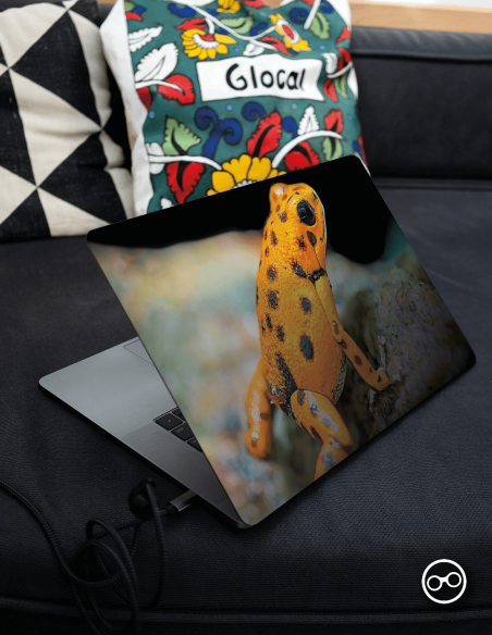 Kikker Laptop Sticker - 1