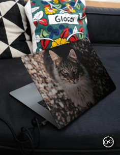 Langharige Cyperse Laptop Sticker - 1