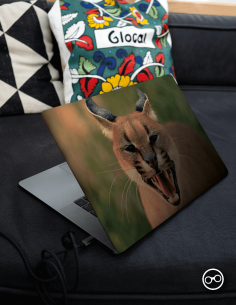 Lynx Laptop Sticker - 1