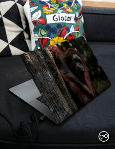 Orang-Oetan Laptop Sticker - 1