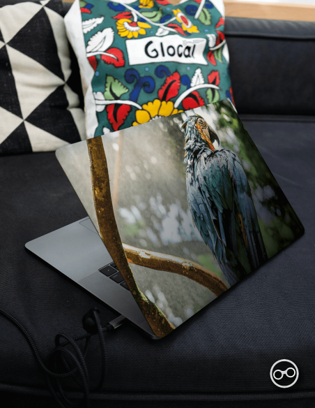 Papegaai Laptop Sticker - 1