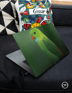 Parkiet Laptop Sticker - 1