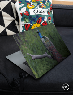 Pauw Laptop Sticker - 1