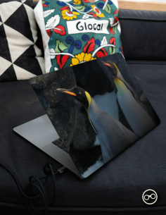 Pinguïn Laptop Sticker - 1