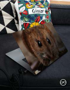 Ratje Laptop Sticker - 1