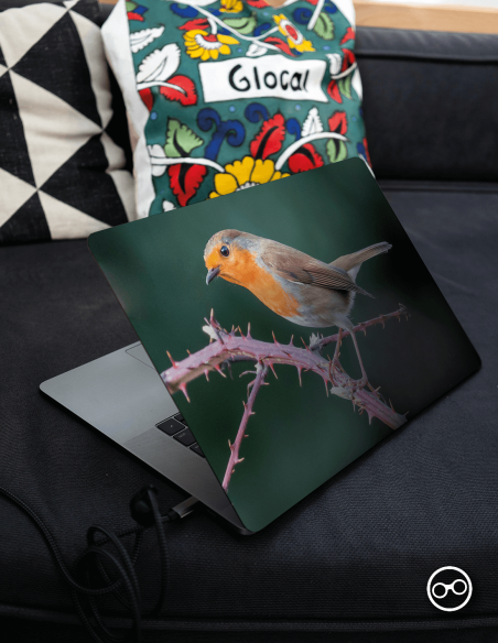 Roodborstje Laptop Sticker - 1