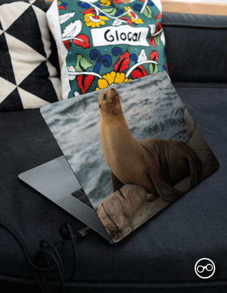 Zeeleeuw Laptop Sticker - 1