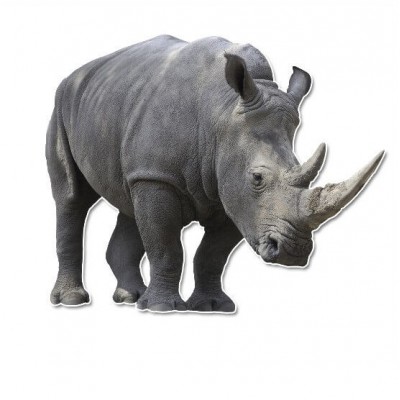 Neushoorn muursticker - 1