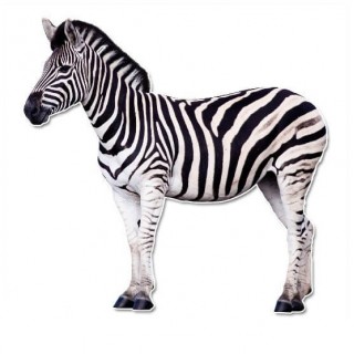 Zebra muursticker - 1