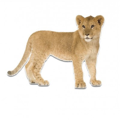 Kleine tijger muursticker - 1