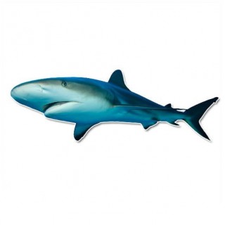 Grote witte Haai muursticker - 1