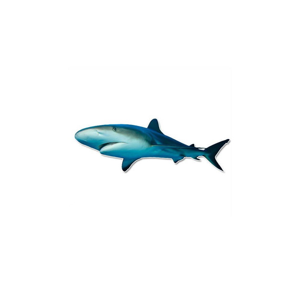 Grote witte Haai muursticker - 1