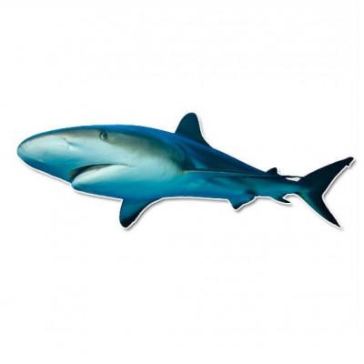 Grote witte Haai muursticker - 1