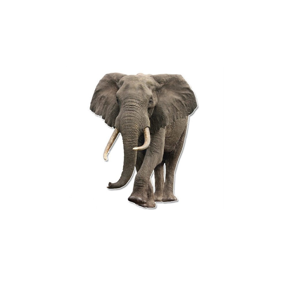 Elefanten-Wandaufkleber - 1