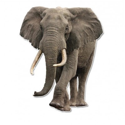 Olifant muursticker - 1 Olifant muursticker - 1