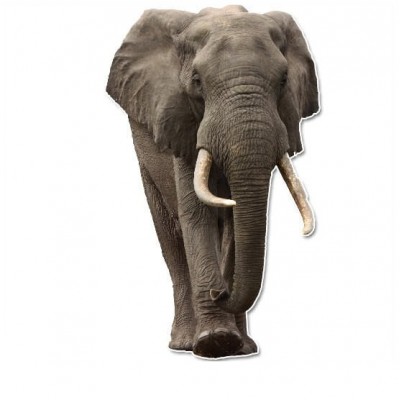 Big Olifant muursticker - 1