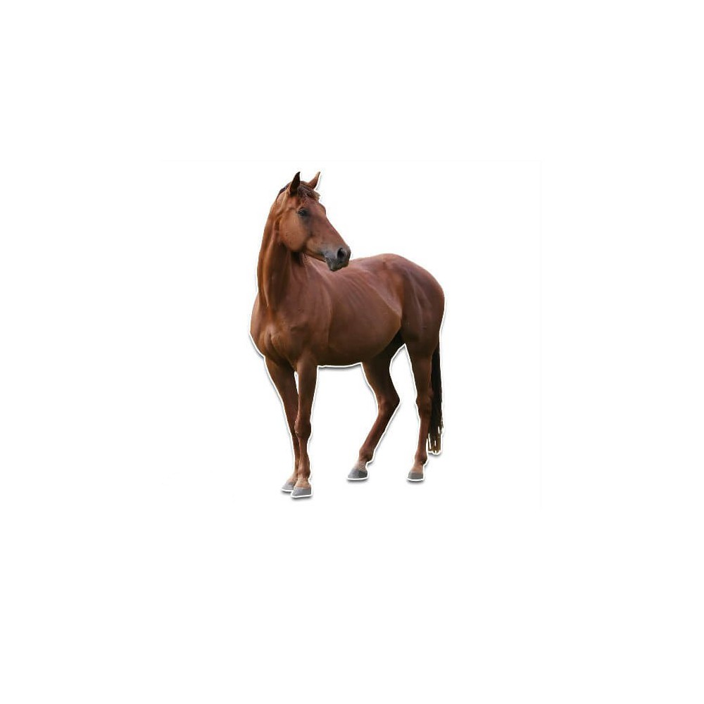 Voorkant paard muursticker - 1