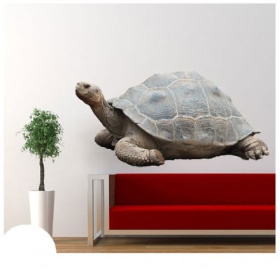 Schildpad muursticker - 2