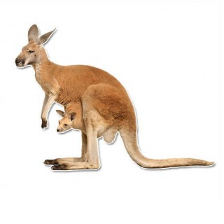 Kangaro muursticker - 1