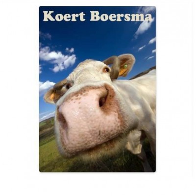 kofferstickers koe - 3 kofferstickers koe - 3